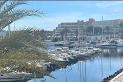 Le-Petit-Libert1-du-Cap-5